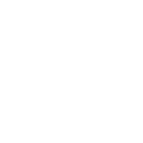 Logo Obsession White